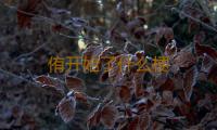 侑开始了什么梗 